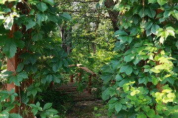 Garden Bridge