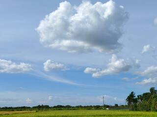 A wide-angle shot of a peaceful green field stretching towards the horizon under a bright blue sky....