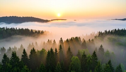 Fototapeta premium Abstract nature-inspired wallpaper featuring coastal waves, tropical sunsets, forest mists, and urban rooftop views. Includes warm gradients, soft lighting, and atmospheric moods perfect for modern de