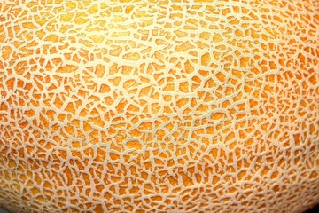 Yellow melon slice texture. texture of the outer surface of a ripe yellow melon natural appearance