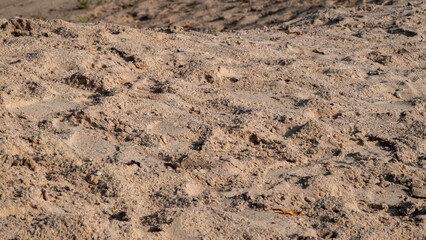 Textured sandy surface capturing the sunlight on a warm day near the beach