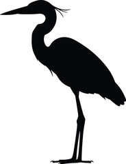 Cad drawing flat vector illustration, heron bird silhouette, elegant wildlife graphic, nature-inspired design, standing bird art, Adobe Stock vector