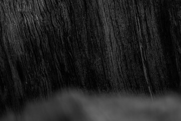 Drzewny wodospad © Karolina