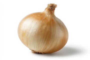 Single whole onion, light brown, on white background