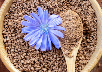 Ground chicory root on a wooden spoon and chicory flowers on a rustic wooden background. Alternative medicine. Healthy drinks. chicory drink