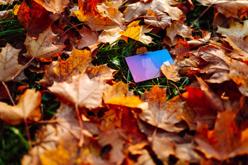 Close-up of a bank card lying in orange leaves at sunset. Sunny park with a card on the grass on an autumn day. Concept of technology, business and nature.
