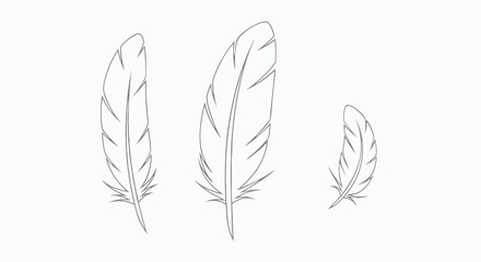 Obraz premium Delicate Line Drawing of Three Feathers Showcasing Natural Grace and Textural Variations in Minimalist Art Style for Artistic and Nature-Inspired