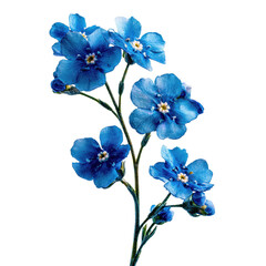 Fototapeta premium Bright blue flowers arranged gracefully on a white background showcasing their delicate beauty in a natural setting