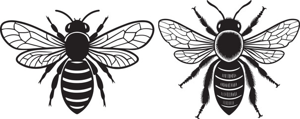 Line art honey bee silhouette with white background