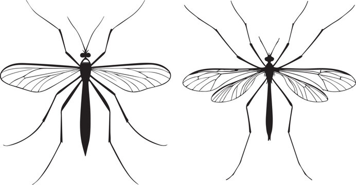 Simple silhouette of a crane in flight vector design