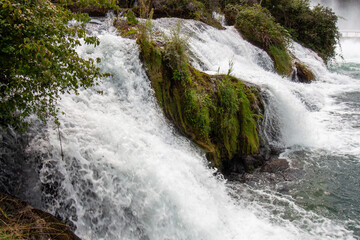 Fototapeta premium Powerful foamy water of the Rhine Falls cascades over jagged rocks and green moss