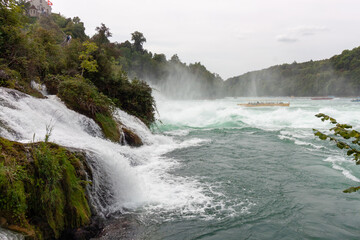 Powerful foamy water of the Rhine Falls cascades over jagged rocks and green moss