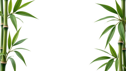 Fototapeta premium Lush green bamboo stalks frame serene background, creating tranquil and natural atmosphere. Perfect for relaxation and meditation