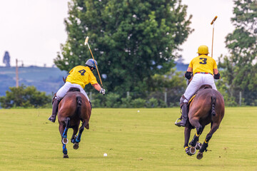 Polo match