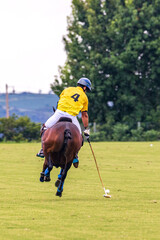 Polo match