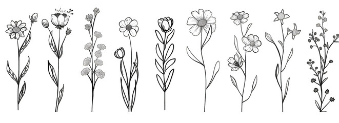 Black and white hand-drawn floral illustrations.  Simple line art flowers and leaves with small decorative details.  Various flower types and leaf structures