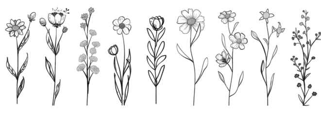 Black and white hand-drawn floral illustrations.  Simple line art flowers and leaves with small decorative details.  Various flower types and leaf structures