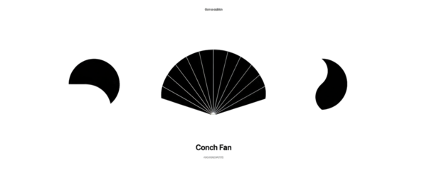Abstract fan design on a dark background.  Radiating lines from a central point, creating a symmetrical fan shape. Light gray lines on black backdrop