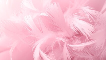 Obraz premium A soft, dreamy background filled with delicate pink feathers, creating a whimsical and airy atmosphere, perfect for romantic or playful themes.
