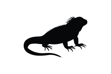 Fototapeta premium Iguana Lizard Silhouette on White Background in Black Silhouette Style