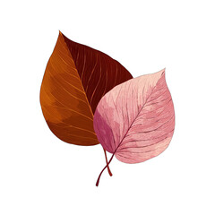 Two autumn leaves, one brown-orange, one pinkish-red, overlapping slightly, with a detailed outline