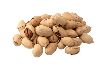 Pecan-nut in a shell isolated on white background. Top view.