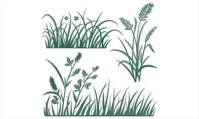 Botanical Grass & Wild Plant Clipart