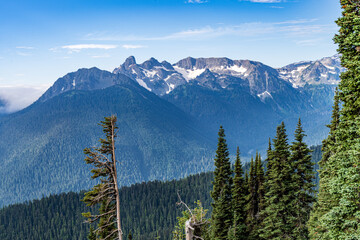 Mt. Ranier National Park