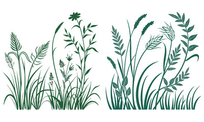 Botanical Grass & Wild Plant Clipart