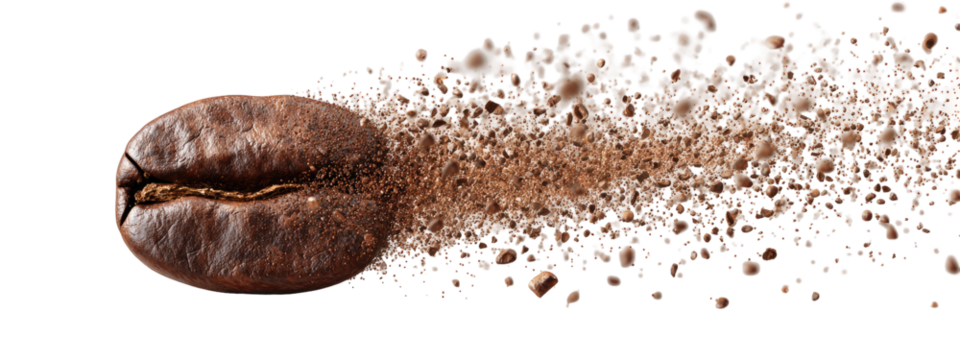 Roasted coffee bean bursting into grounds