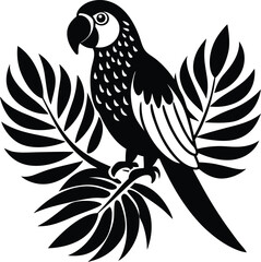 Fototapeta premium Black and white bird of paradise vector illustration with detailed feathers and elegant wings