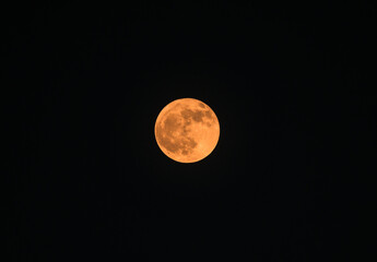 August's full moon, or Sturgeon Moon, is also referred to as the Green Corn, Grain, Flying up moon and Red Moon. In the city seen through the unkempt grass-flowers and electrical wire after sunset.