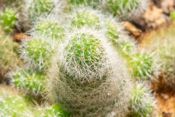 10 agosto 2025_ Giardino Piac _28.DNG