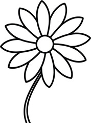 Daisy Flower: Beauty, Meaning, and Varieties