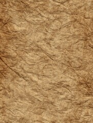Obraz premium Textured antique paper (2)