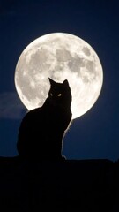 Fototapeta premium Silhouette of a Black Cat Underneath a Full Moon