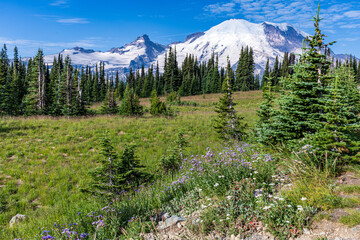 Mt. Ranier National Park