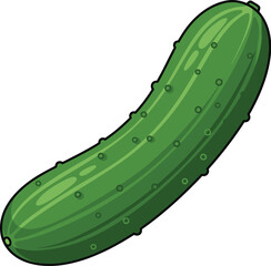 Fresh green cucumber illustration for healthy eating