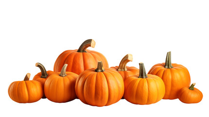 Harvest time brings a vibrant display of pumpkins, perfect for autumn decorations, Thanksgiving feasts, or fall festivals, adding a touch of seasonal charm