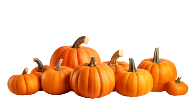 Harvest time brings a vibrant display of pumpkins, perfect for autumn decorations, Thanksgiving feasts, or fall festivals, adding a touch of seasonal charm