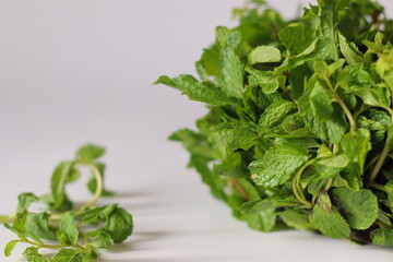 Fresh mint or pudina leaves with vibrant green colour and textured edges, bundled together on a white background