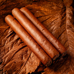 Hand Rolled Cuban Cigars Resting on Aged Tobacco Leaves Showcasing Craftsmanship and Tradition in a Warm, Inviting Setting