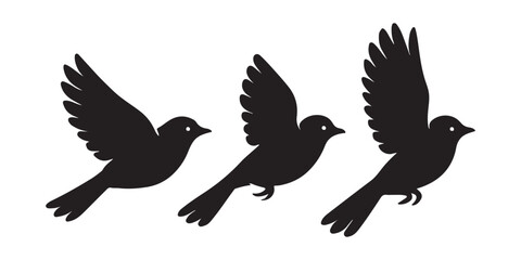 Three black silhouette birds in flight against a white background