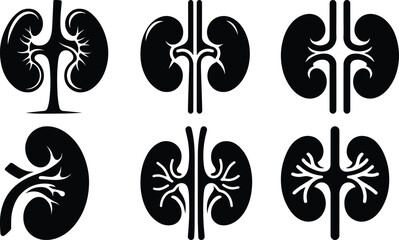 Kidney bundle silhouette icon vector art