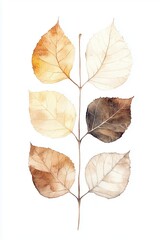 Elegant watercolor painting of a delicate branch showcasing six beautiful leaves in shades of beige, brown, and gold on a clean white background