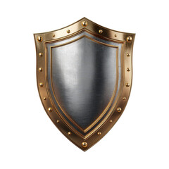 Elegant decorative shield with bronze accents designed for display or reenactment in historical settings