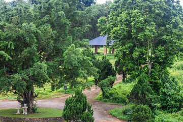 Natural background of mountain atmosphere, trees, green lawn for exercise or viewpoint in a large park in the northern area, Chiang Rai, Thailand.