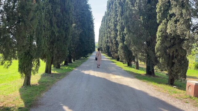 A beautiful woman walking on a gravel road between a row of trees in Tuscany.