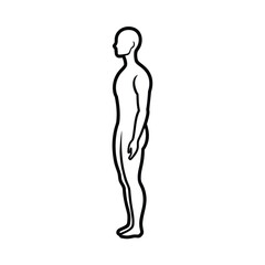 Fototapeta premium human body silhouette outline side view thin line minimalist body