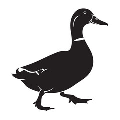 Iconic Duck Silhouette – Duck Vector Graphic for Quality Wildlife Posters – Black Vector of Duck

